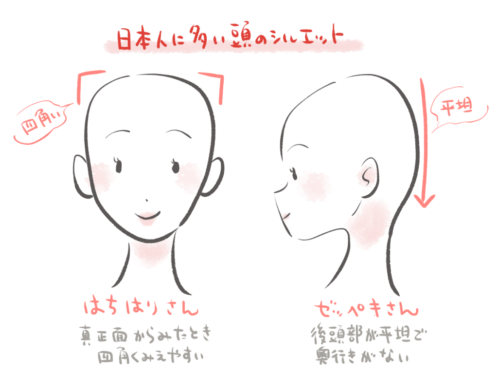 日本人に多いハチ張りが目立つ頭の形