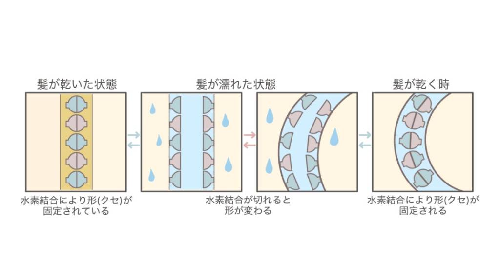 水素結合の原理