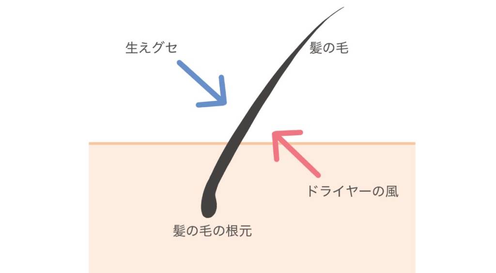 生えぐせと反対側にドライヤーの風を当てる