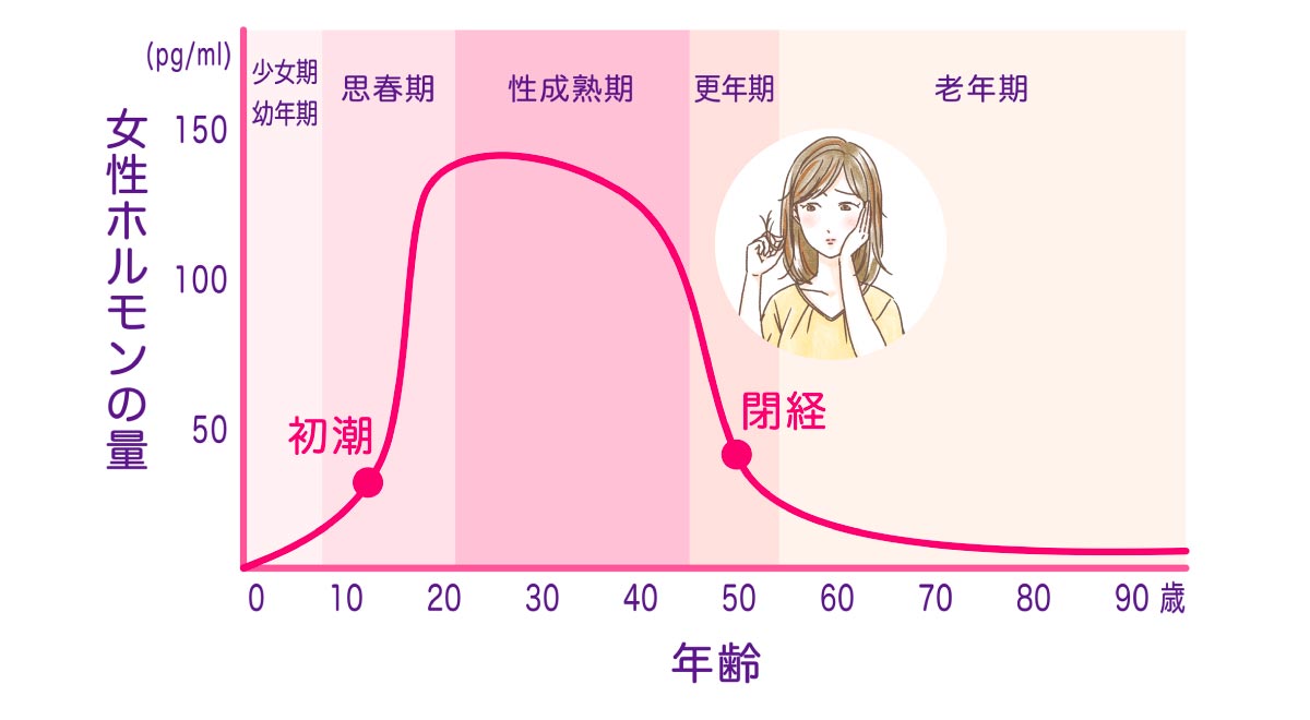 年齢とエストロゲンの分泌量の変化