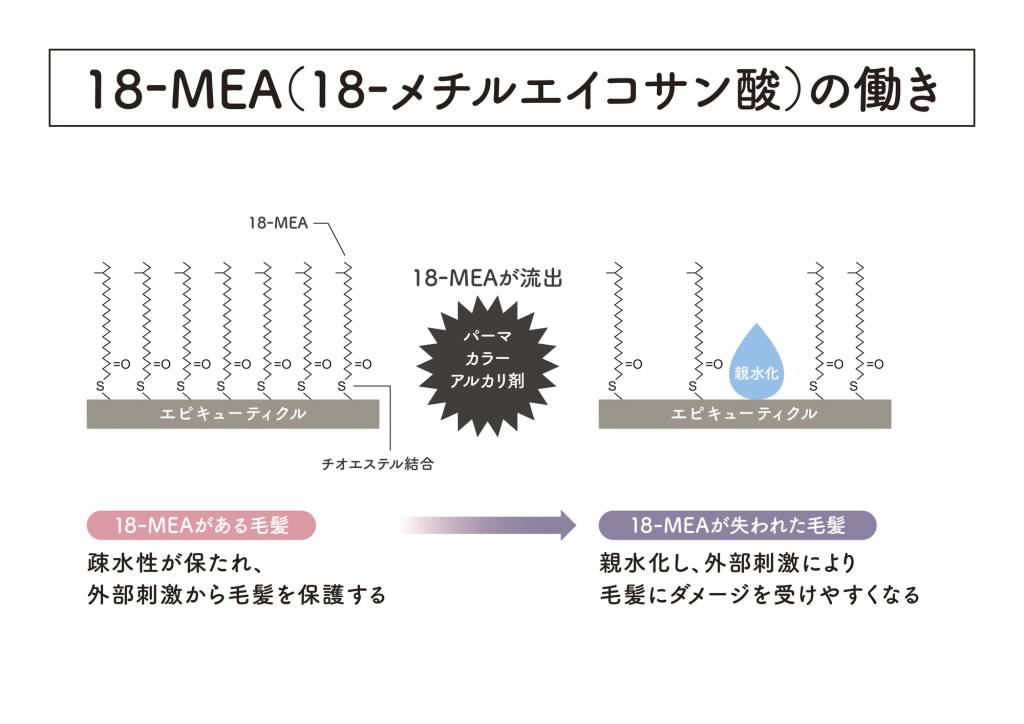 パーマやカラーで髪のなめらかさが損なわれる