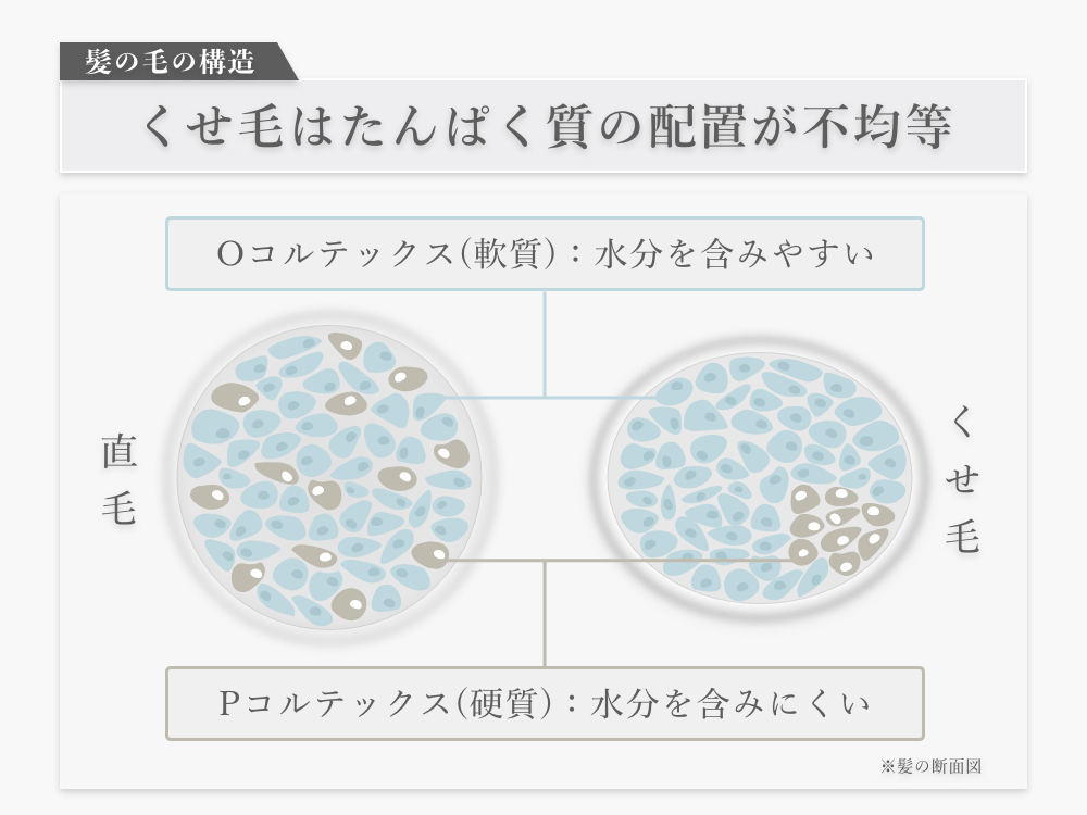 くせ毛のうねり、ボサボサは髪の水分吸収＆膨張が原因