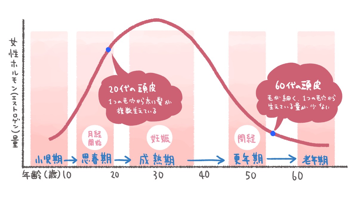 30代後半から髪質変化が起きて髪が広がりやすくなることも