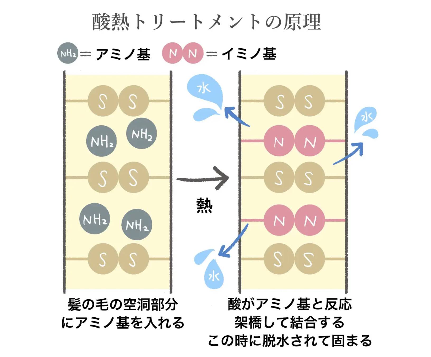 酸熱トリートメントの原理