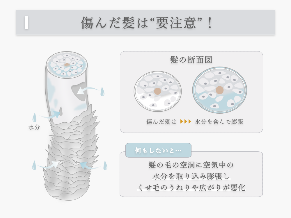 傷んだくせ毛は湿気を吸いやすい