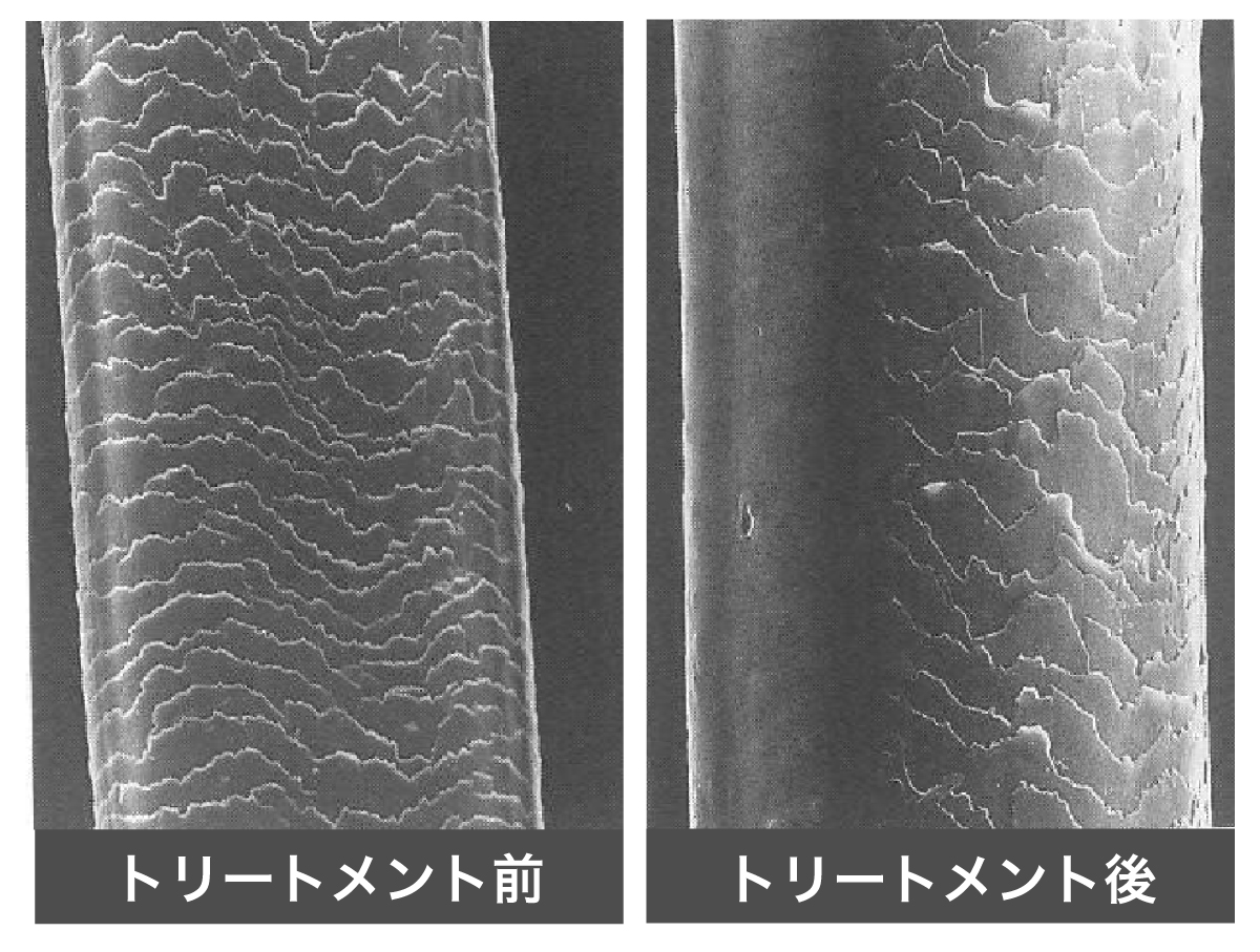 引用元「毛髪・ヘアケアの基礎知識　第2版」2018年4月