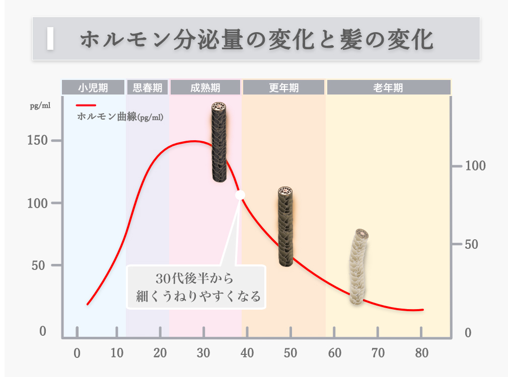 年齢とエストロゲン分泌量の変化