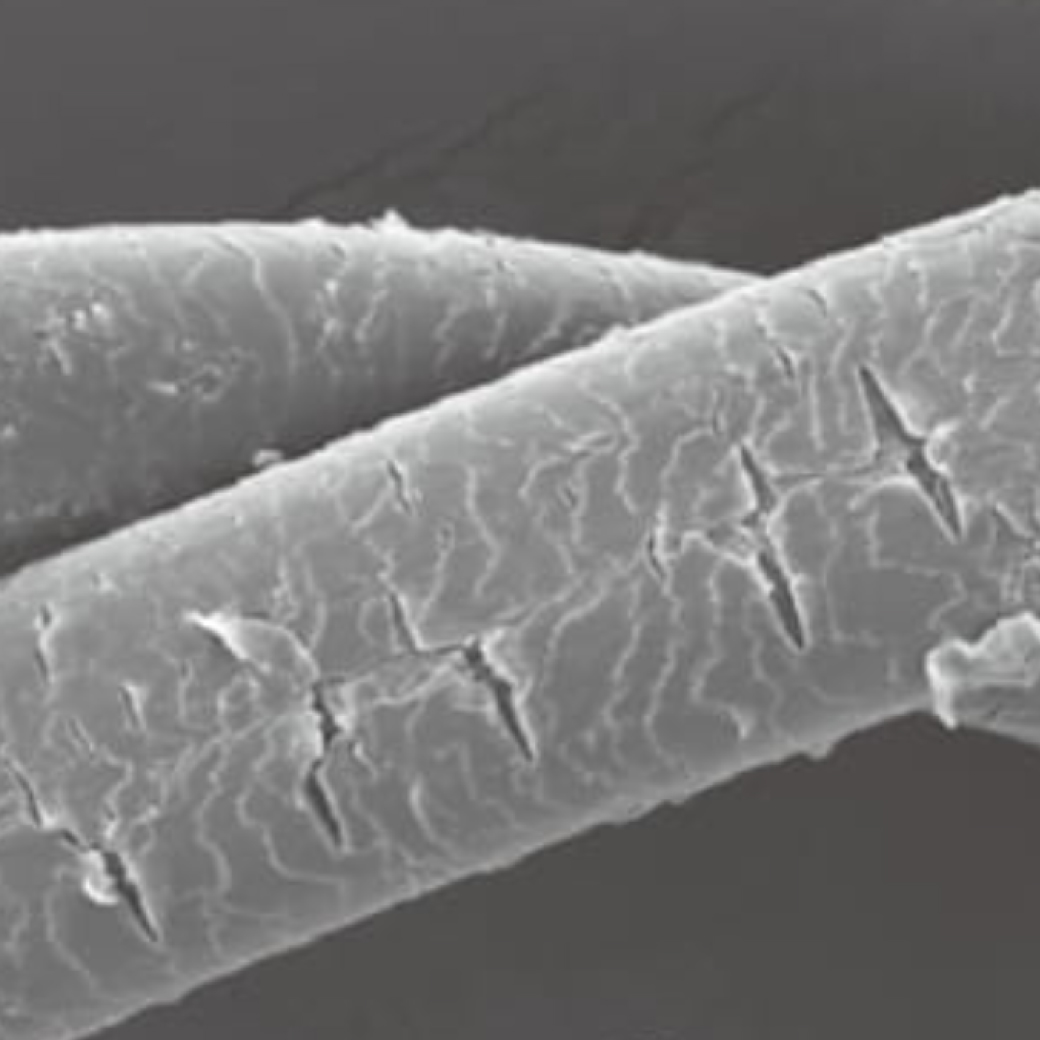 パーマによりダメージを受けた髪の表面