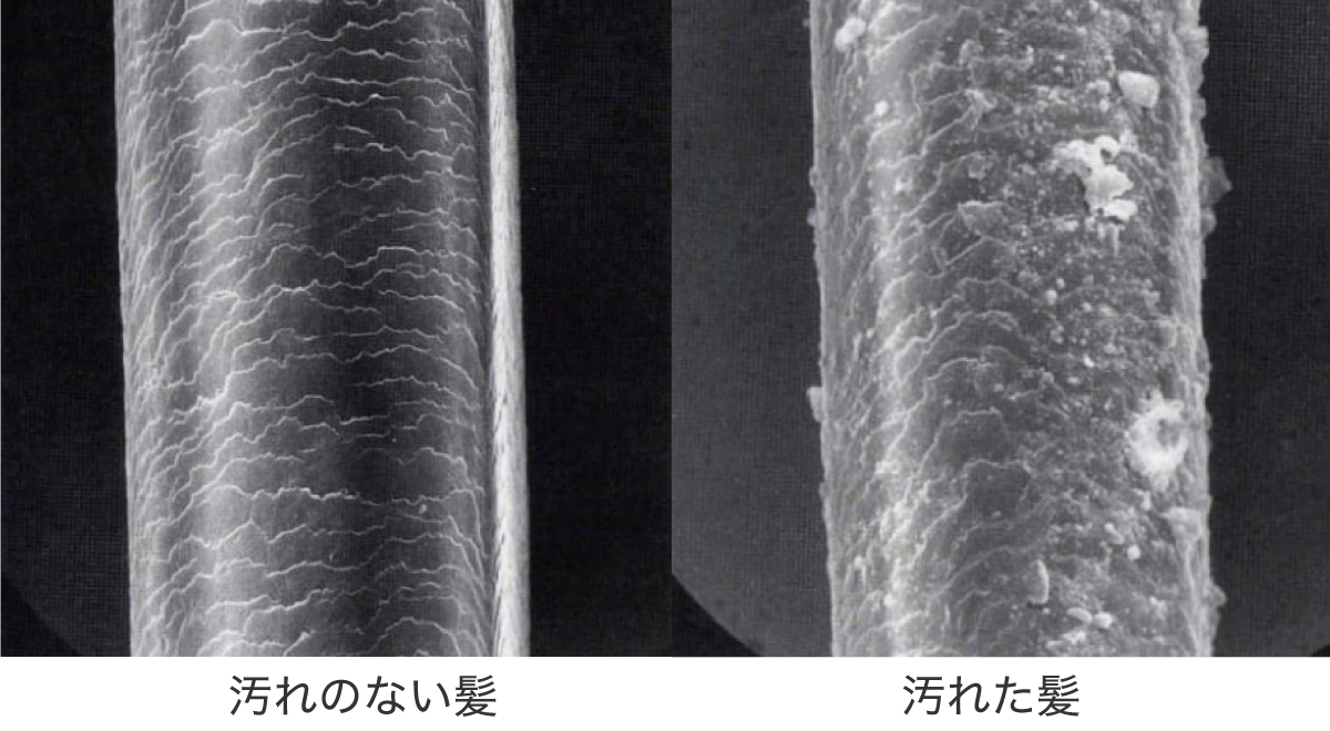 綺麗な髪とワックスが付着した髪